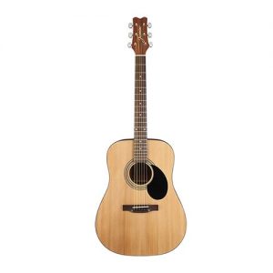 S35 Acoustic Guitar