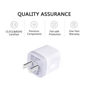 Dual Port Quick Charger
