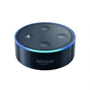 Smart speaker with Alexa