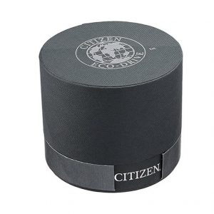 Citizen Stainless Steel Watch